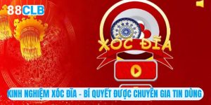 Kinh Nghiệm Xóc Đĩa - Bí Quyết Được Chuyên Gia Tin Dùng 